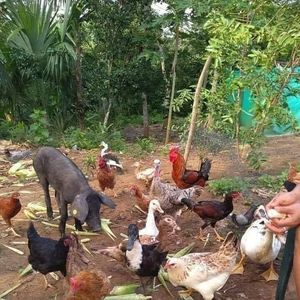 Meet your Posher, Lupe